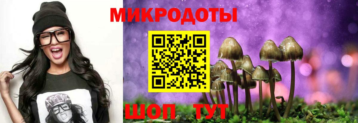 Псилоцибиновые грибы Cubensis Нижнеудинск
